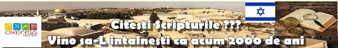 Oxentia Tourism Oxentia Tourism