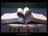 Citeşte Biblia într-un an! - Comentarii: 6