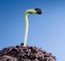 5 paşi spre maturizare spirituală - Comentarii: 1