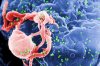 Tratament eficient impotriva virusului HIV - Comentarii: 2