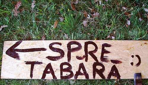 Tabăra Village Project 2010 - Comentarii: 29