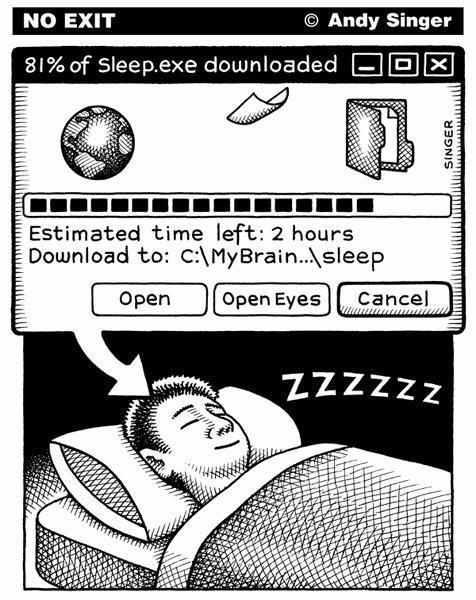 sleep exe