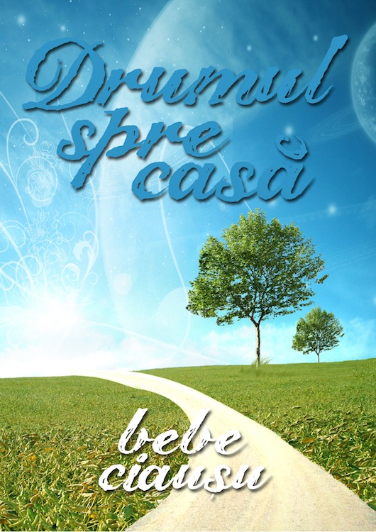 Drumul spre casă - Comentarii: 0 Drumul spre casă - Comentarii: 0